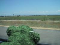 farmland